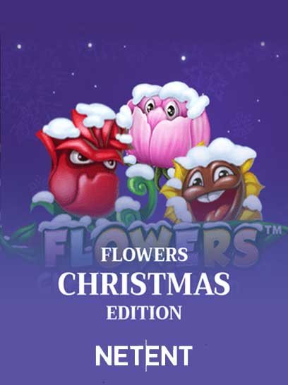 Flowers Christmas